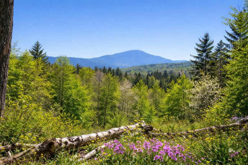 Landscape Planning Service